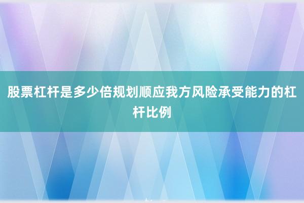 股票杠杆是多少倍规划顺应我方风险承受能力的杠杆比例