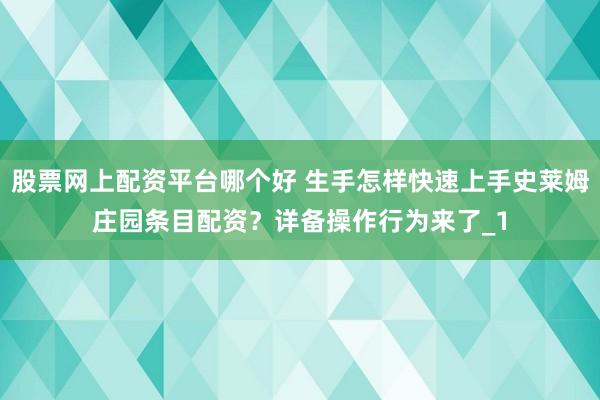 股票网上配资平台哪个好 生手怎样快速上手史莱姆庄园条目配资？详备操作行为来了_1