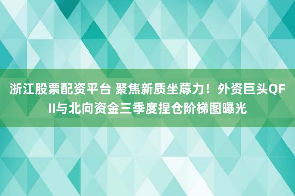 浙江股票配资平台 聚焦新质坐蓐力！外资巨头QFII与北向资金三季度捏仓阶梯图曝光