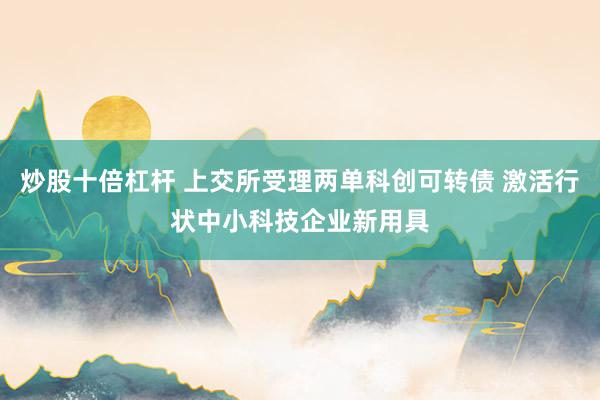 炒股十倍杠杆 上交所受理两单科创可转债 激活行状中小科技企业新用具