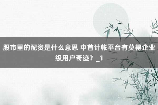 股市里的配资是什么意思 中首计帐平台有莫得企业级用户奇迹？_1